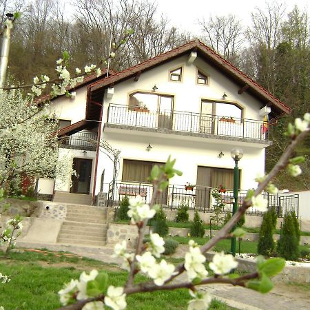 Pension Casa Natura Băile Herculane Eksteriør billede