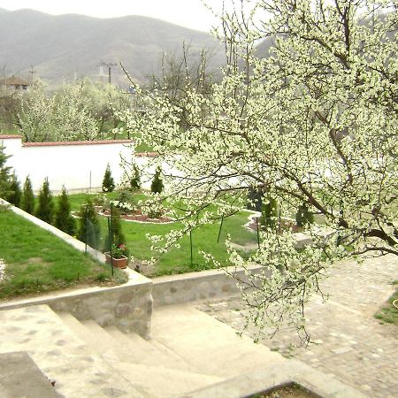 Pension Casa Natura Băile Herculane Eksteriør billede