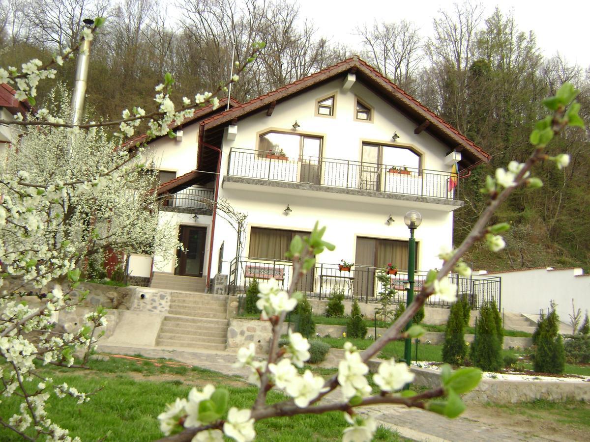 Pension Casa Natura Băile Herculane Eksteriør billede