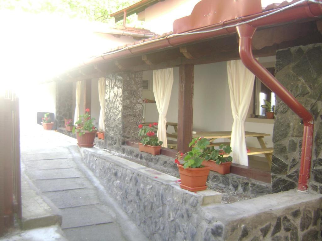 Pension Casa Natura Băile Herculane Eksteriør billede