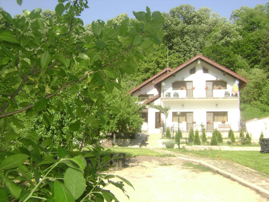 Pension Casa Natura Băile Herculane Eksteriør billede