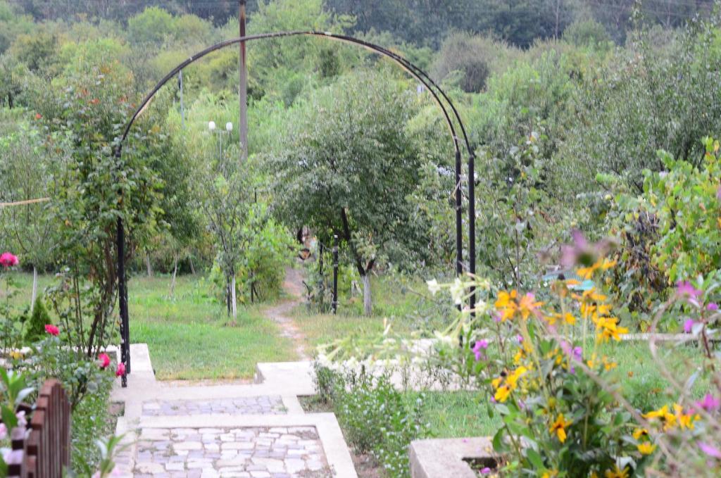 Pension Casa Natura Băile Herculane Eksteriør billede