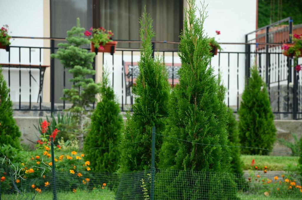 Pension Casa Natura Băile Herculane Eksteriør billede