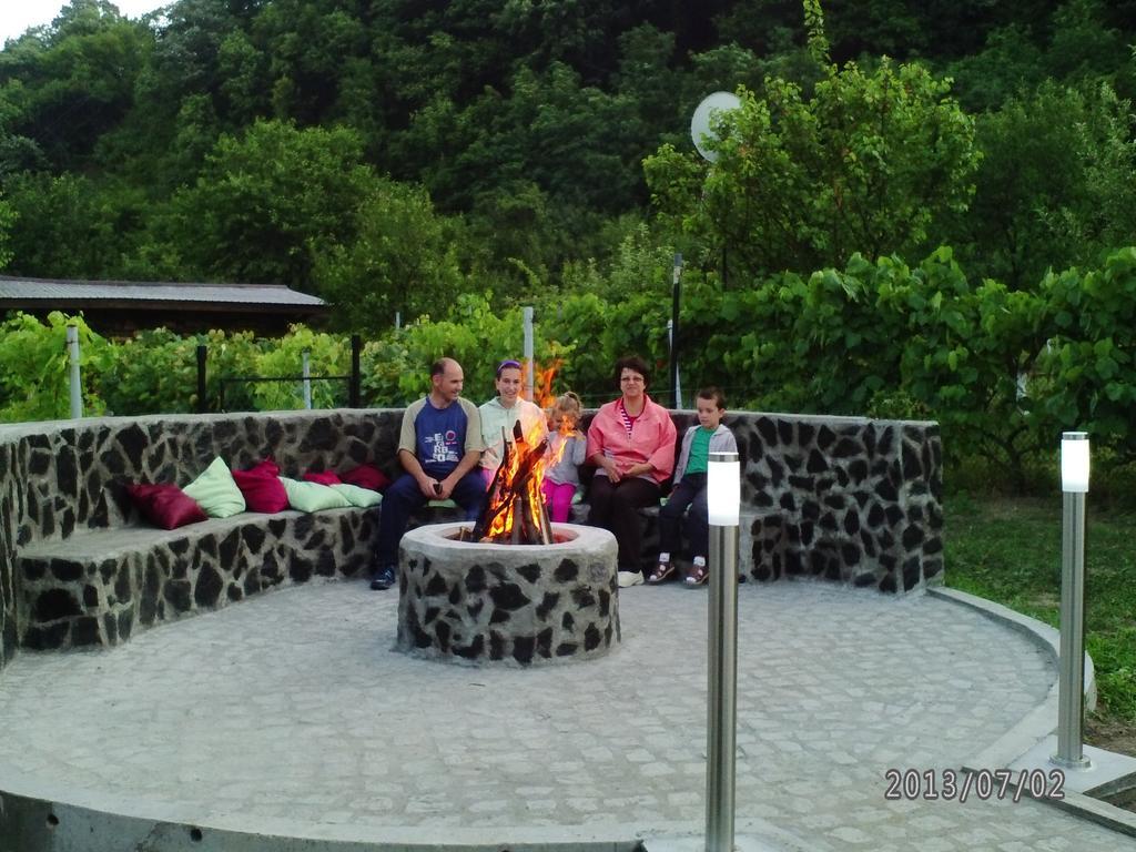 Pension Casa Natura Băile Herculane Eksteriør billede