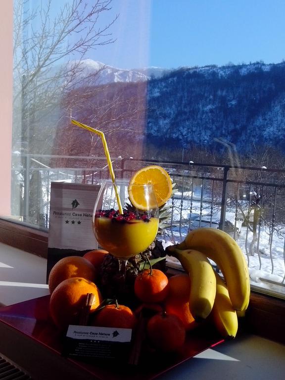 Pension Casa Natura Băile Herculane Eksteriør billede