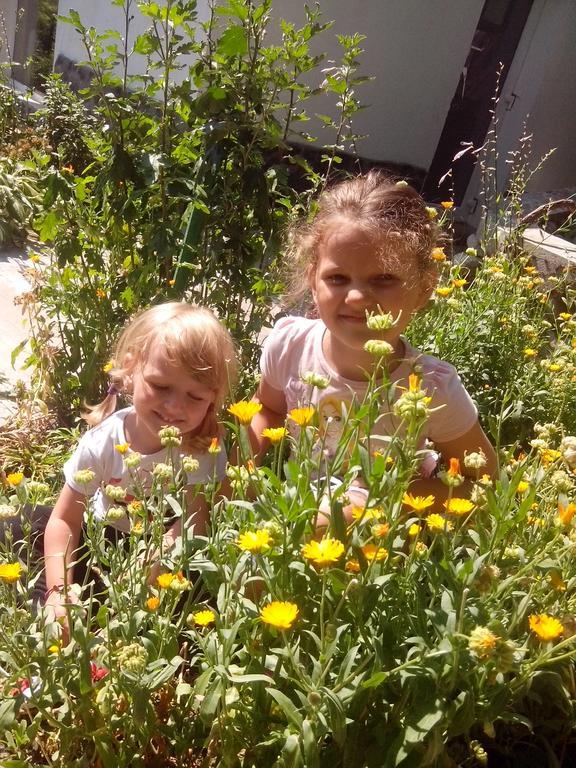 Pension Casa Natura Băile Herculane Eksteriør billede