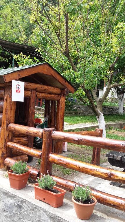 Pension Casa Natura Băile Herculane Eksteriør billede