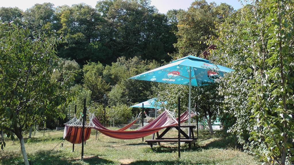 Pension Casa Natura Băile Herculane Eksteriør billede