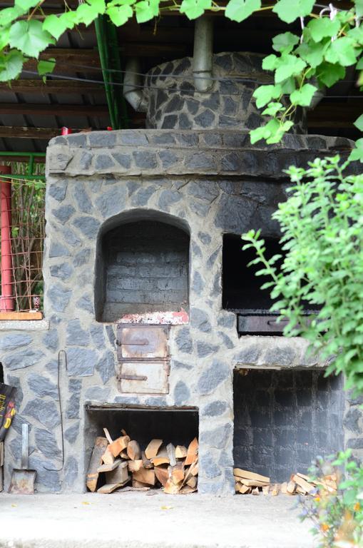 Pension Casa Natura Băile Herculane Eksteriør billede