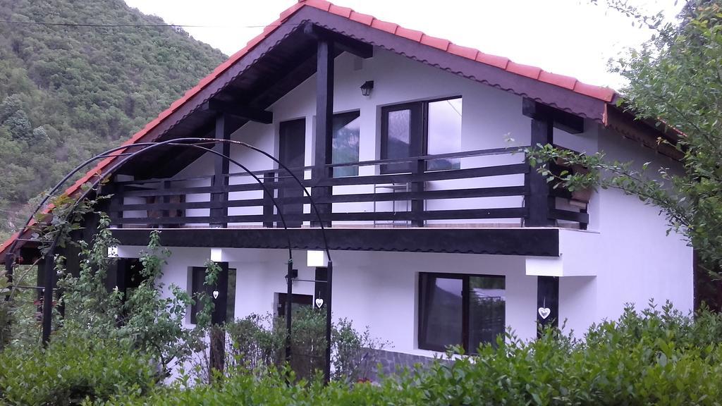 Pension Casa Natura Băile Herculane Eksteriør billede