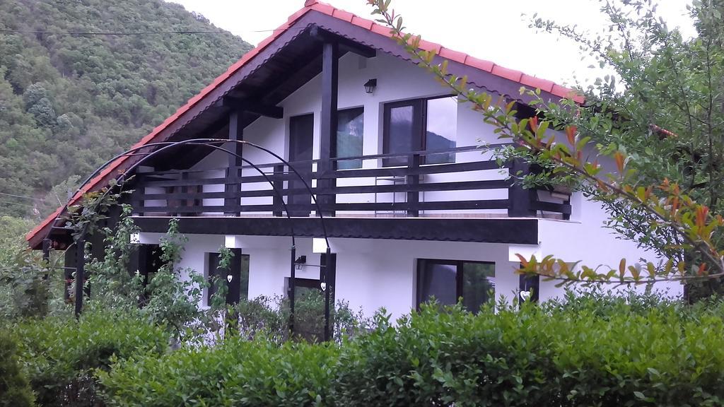 Pension Casa Natura Băile Herculane Eksteriør billede